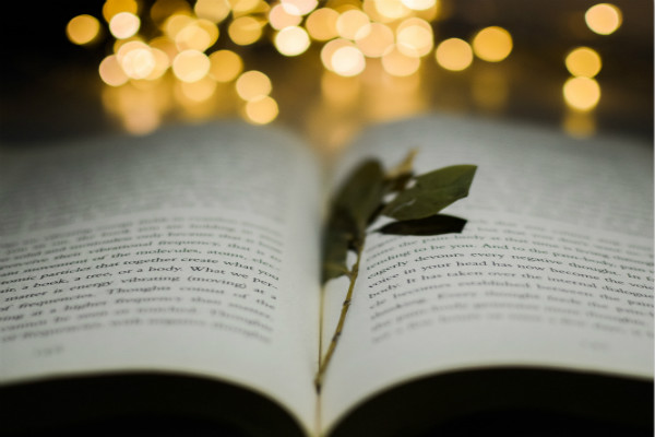 教育学专业硕士考研有哪些参考书目